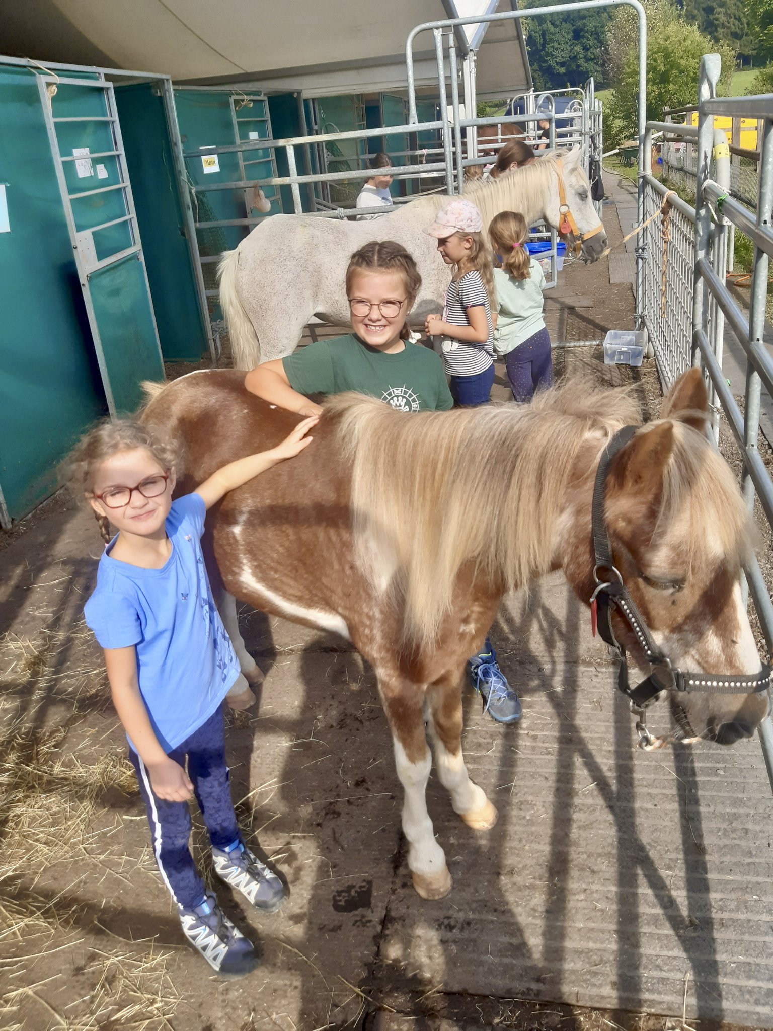 Ponyreiten in St. Ulrich: Spazierritt durch den Wald